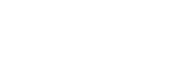 Raystech logo